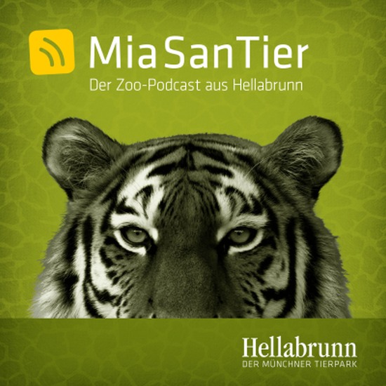 Cover "Mia san Tier" -  Podcast Tierpark Hellabrunn  