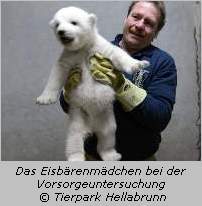 Das Eisbärenmädchen mit Tierpfleger Helmut Kern