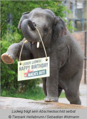 Ludwig trägt ein Schild: Happy Birthday - mach´s gut!