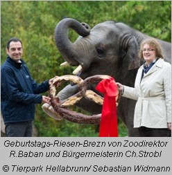 Zoodirektor Baban und Bürgermeisterin Strobl geben Ludwig eine Riesem-Breze