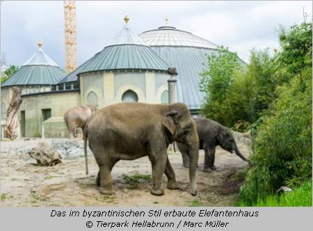  Elefantenhaus Hellabrunn 2014 