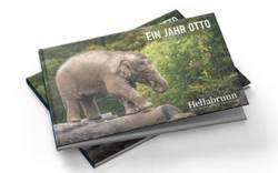Elefant Ottos erstes Jahr als Fotobuch 
