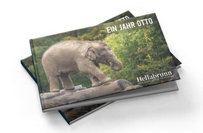 Fotobuch von Elefant Otto aus dem Tierpark Hellabrunn 