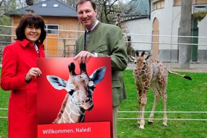 Marlies Mirbeth und Dr. Andreas Knieriem zeigen das Plakat von Giraffenbaby Naledi