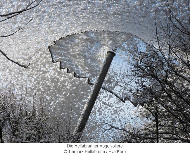 Dach der Vogelvoliere im Tierpark Hellabunn