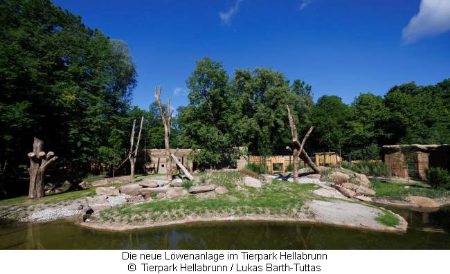 Blick auf die neue Löwenanlage im Tierpark Hellabrunn im Mai 2022  