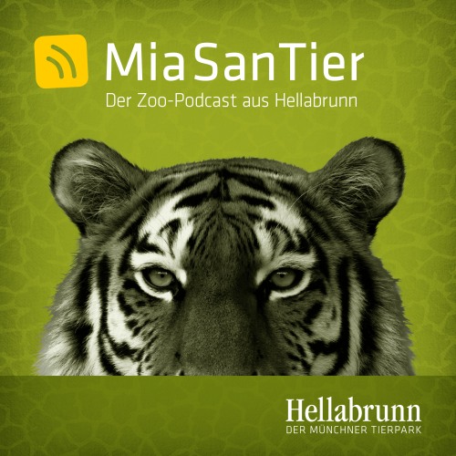 Podcast "Mia san Tier" aus dem Tierpark Hellabrunn  