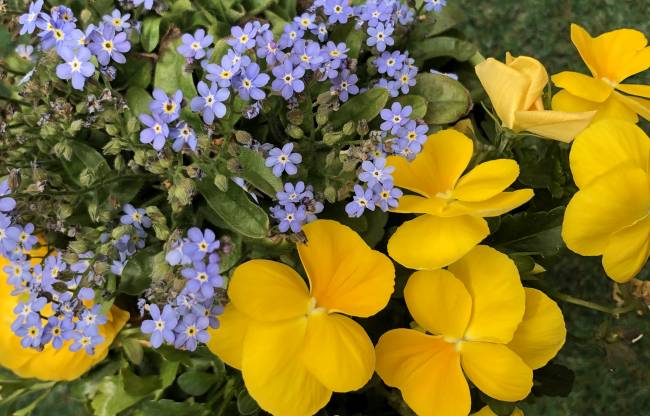 2022 ist der Muttertag am 8. Mai