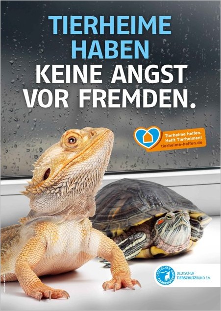 Plakat "Tierheime helfen Exoten"   