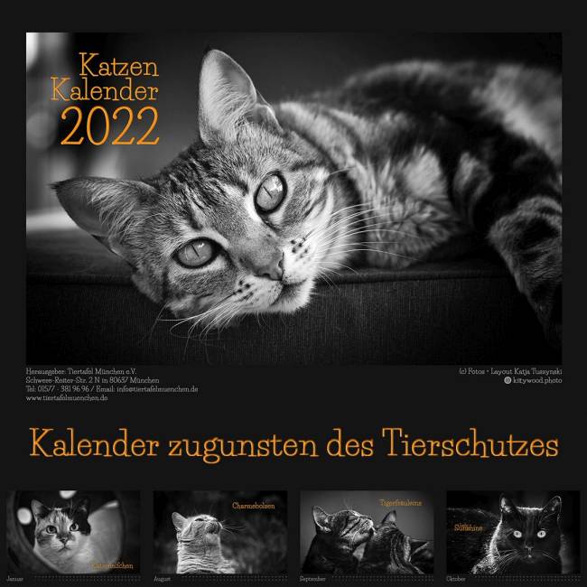 Katzen-Kalender 2022 