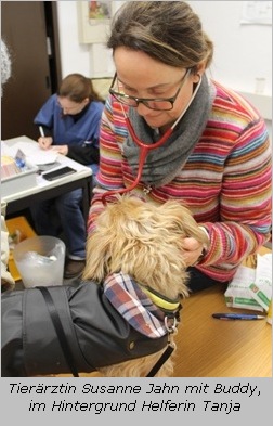 Tieraerztin Susanne Jahn bei der Untersuchung eines kleinen Hundes