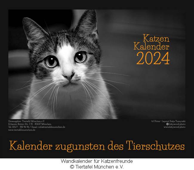 Katzenkalender der Tiertafel München