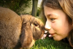 Mädchen mit Kaninchen