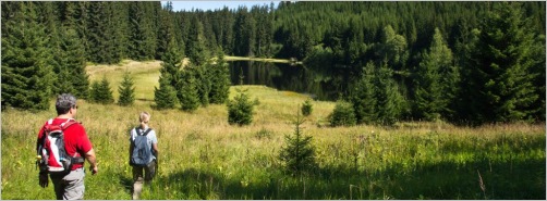 Landschaft im Bayrischen Wald  