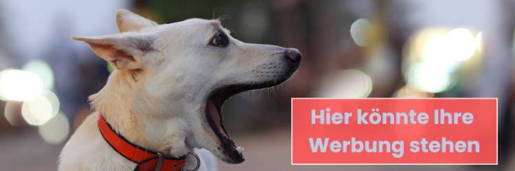 Hier könnte Ihre Werbung stehen!