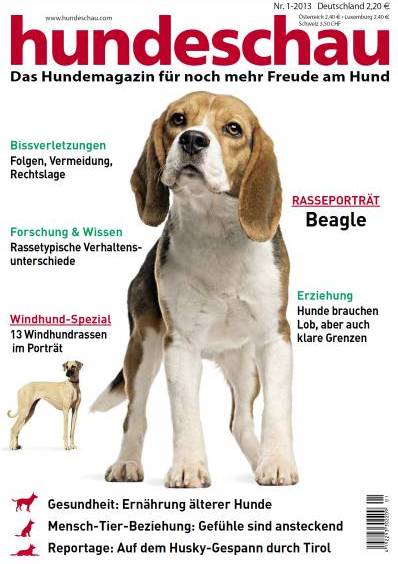 Beagle auf Titelblatt der hundeschau