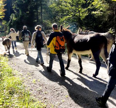 Eselwanderung auf der Ferienfarm Asinella
