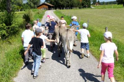 Ferienprogramm auf der Eselfarm Asinella