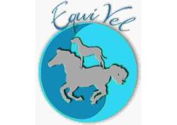 Logo EquVel