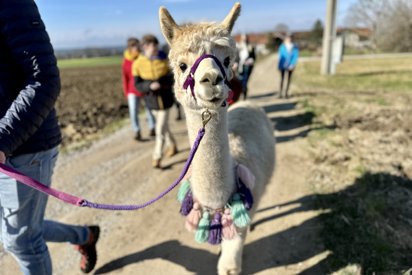 Kronacker Runde (1,5 Stunden)