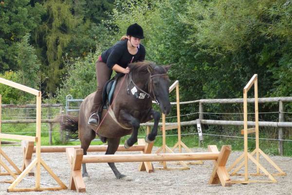 Mädchen springt mit Pferd über Hürde  