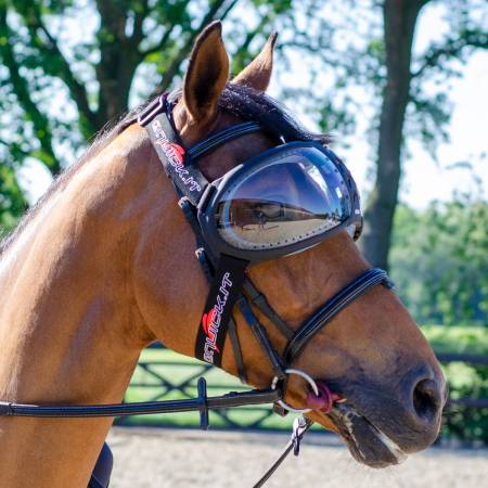 Pferdekopf mit Augenschutz Evysor