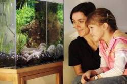 Mutter und Tochter beobachten Transvestitenbuntbarsche im Aquarium 