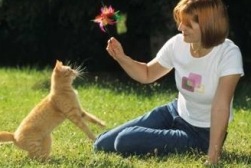 Frau spielt mit Katze mit einem Federbüschel