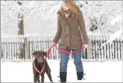  Hundespaziergang im Schnee