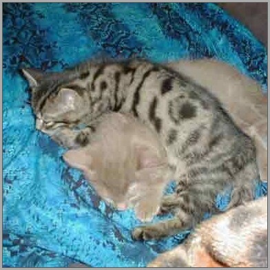 emilydelilah2005-400-2-rr