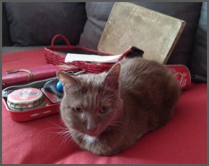 emilymrz-2018-400-rr