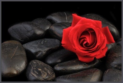 foto-3-rose-mit-stein-f8086971-400