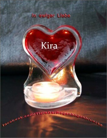 trauerbild-fuer-kira-350