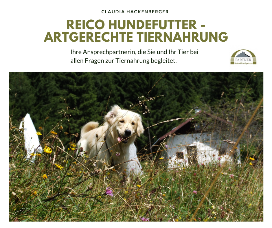 claudia-hackenberger-reico-hundefutter